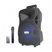 Boxă Portabilă Karaoke cu Microfon fără Fir AiLiang LIGE-A811K, 10W RMS, Bluetooth, Telecomandă, Acumulator
