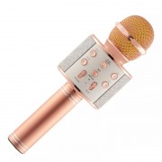Microfon cu Boxă HiFi Karaoke Speaker cu Bluetooth, 5 W, Radio, Funcţie Ecou / Reverb, Baterie Reîncărcabilă, Diverse Culori