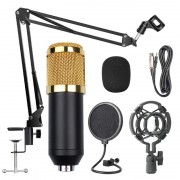 Microfon Studio Condensator cu Stand pentru Înregistrare Vocală OEM, Streaming Youtube, Gaming, Podcast, Auriu